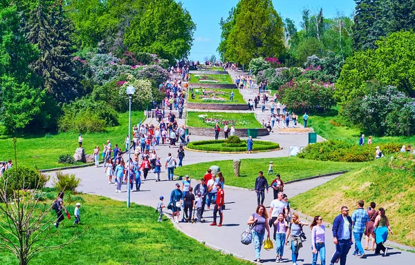 Kyiv Ukraine Μαΐου 2021 Hryshko Βοτανικός Κήπος Πολυσύχναστο Σοκάκι Καταπράσινα — Φωτογραφία Αρχείου