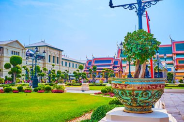 BANGKOK, THAILAND - 12 Mayıs 2019: 12 Mayıs 'ta, Tayland' ın Bangkok kentinde, Taht Salonu 'ndaki Rathakit Field' ı çevreleyen budanmış ağaçlı manzaralı seramik vazolar