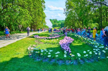 KYIV, UKRAINE - 16 Mayıs 2021: 16 Mayıs 'ta Ukrayna' nın başkenti Kyiv 'de, Hryshko Botanik Bahçesi' nde çiçek açan lale çiçekli karanlık sokak