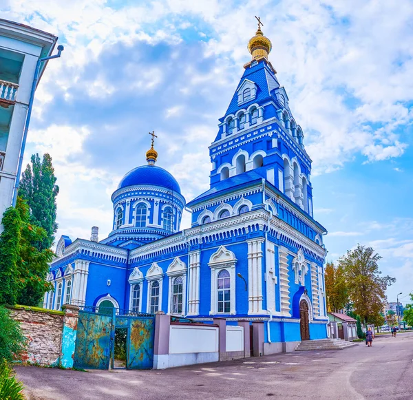 Mattone Blu Scenico Santa Annunciazione Chiesa Alexander Nevsky Robitnycha Street — Foto Stock