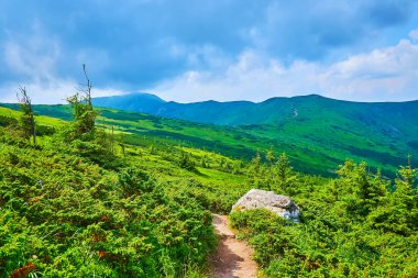 Pip İvan Dağı 'nın arka planında bulutlar, Chornohora Dağı Sıradağları, Karpatlar, Ukrayna