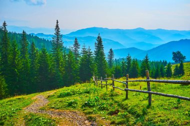 Polonyna Smotrych dağ vadisinin arkasındaki mavi dağ siluetleri ve uzun kozalaklı ormanlar, Karpatlar, Ukrayna