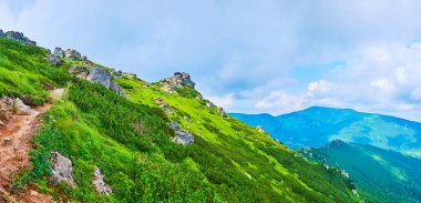 Yaya yolu, yeşillik, kayalar ve Karpat manzaralı Eared Stone Dağı 'nın yeşil yamacının panoramik görüntüsü, Ukrayna