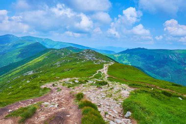 Chornohora Dağları, yeşil tepeler ve yamaçlarla kaplı, otlar, kayalar ve dar dolambaçlı patikalar, Karpatlar, Ukrayna