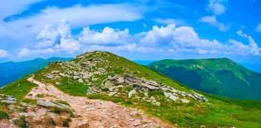 Chornohora Dağları 'ndaki yaz yürüyüşünün tadını çıkarın. Arka planda Pip Ivan Dağı ve Smotrych Dağı, Karpatlar ve Ukrayna' nın yamacı var.