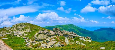 Dağ yamacı Alpine Tundra bölgesi, Chornohora dağı sıradağları, Karpatlar ve Ukrayna 'nın otlarıyla çevrili renkli taş çıkışlarıyla kaplıdır.