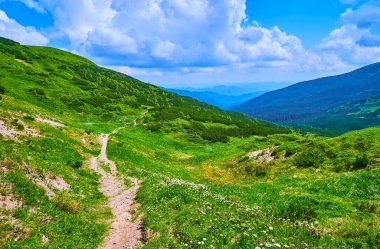Dar yol, Chornohora Dağları, Karpatlar ve Ukrayna 'nın Smotrych Dağı' nın yamacına çıkıyor.