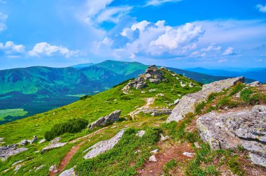 Chornohora dağ sırası, Karpatlar ve Ukrayna 'nın yeşil yamaç ve tepelerini gözlemleyerek, Eared Taşı' nın (Vykhatyi Kamin) manzarasını büyüleyin.