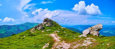 Dağın tepesine giden yol, Eared Stone Dağı (Vykhatyi Kamin) zirvesi, Chornohora sırası, Karpatlar, Ukrayna