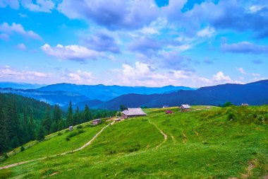 Polonyna Smotrych dağ vadisine yürüyüş yerel çiftçilerden oluşan küçük evler ve sığır otlatma için yeşil çayırlar, Chornohora Range, Karpatlar, Ukrayna