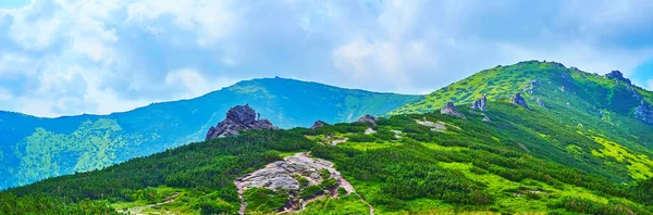 Panorama Alpejskiej Tundry Górze Eared Stone Górze Smotrych Tle Karpaty — Zdjęcie stockowe