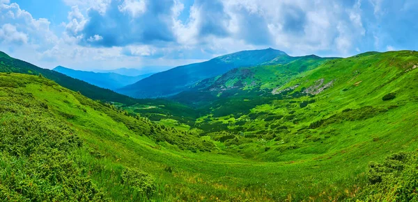 Panorama Floreciente Pintoresca Col Verde Entre Los Montes Pip Ivan — Foto de Stock