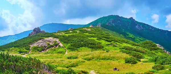 툰드라 우크라이나 카르파티아 바위들이 아름다운 경사지 — 스톡 사진