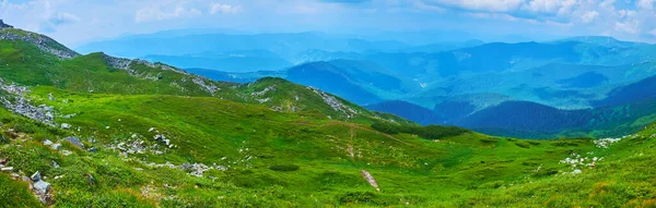 Pip Van Dağı Nın Yeşil Yamacının Panoraması Chornohora Dağları Arka — Stok fotoğraf