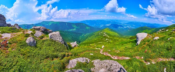 산에서 바라본 카르파티아 산맥의 사거리 우크라이나 카르파티아 — 스톡 사진