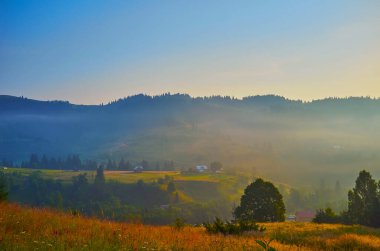 Karpat dağlarının yeşil yamaçları ve zirveleri altın gündoğumu sisi, saklanan ormanlar, yeşil çayırlar ve Ukrayna 'nın Dzembronia köyünün küçük evleri ile kaplıdır.