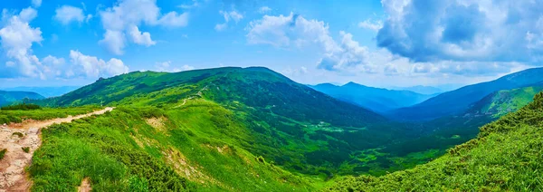 우크라 카르파티아 카르파티아 초록색 골짜기 그리고 르노라 구경하면서 등산을 즐기라 — 스톡 사진