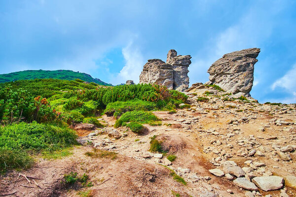 The scenic rock formations, surrounded with low conifer greenery on the slope of Mount Eared Stone, Carpathians, Ukraine