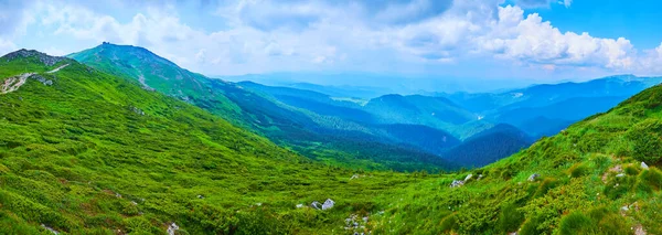 Piękna Zielona Dolina Zbocze Szczyt Jednej Najwyższych Gór Czarnogóry Góra — Zdjęcie stockowe