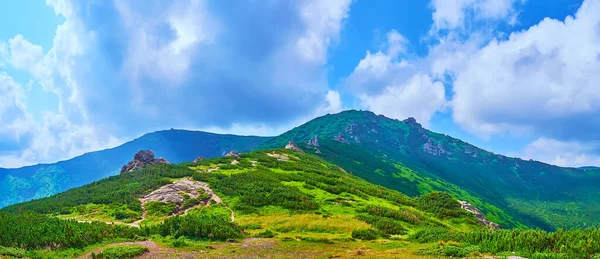Bela Paisagem Monte Oared Stone Com Vegetação Zona Tundra Alpina — Fotografia de Stock