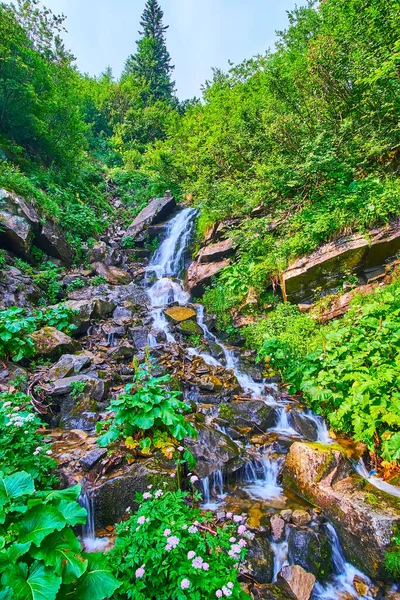 Lush Green Forest Surrounds Talus Scree Slope Jets Smotrych Falls — Stock Photo, Image