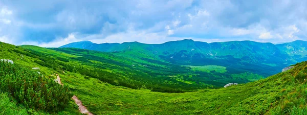 Panorama Över Den Gröna Bergsdalen Täckt Med Alpin Tundra Vegetation — Stockfoto