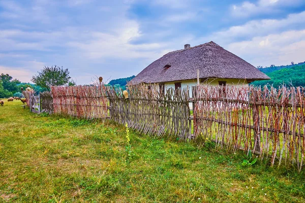 Village Cosaque Historique Scances Avec Une Palissade Authentique Des Maisons — Photo