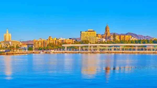 Pintoresco Paseo Marítimo Palm Grove Surprises Horizonte Del Casco Antiguo — Foto de Stock