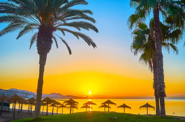 西班牙马拉加市 享受马拉加塔海滩上的田园诗般的美容美发 海滨有高耸的棕榈树和草皮遮阳伞 — 图库照片