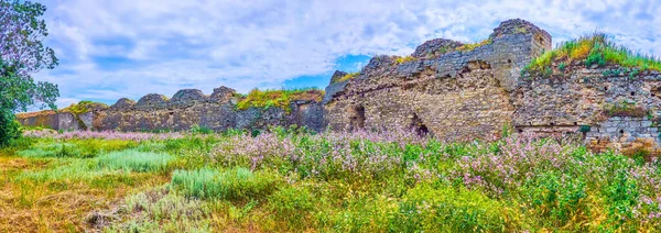 Die Mittelalterlichen Mauern Der Akkerman Festung Überwachsen Mit Gras Und — Stockfoto