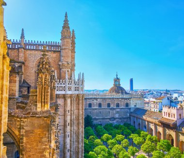 Seville Katedrali 'nin sarayındaki Orange Trees Garden' ın ön plandaki süslü Gotik duvarı İspanya 'nın en üst manzarası.