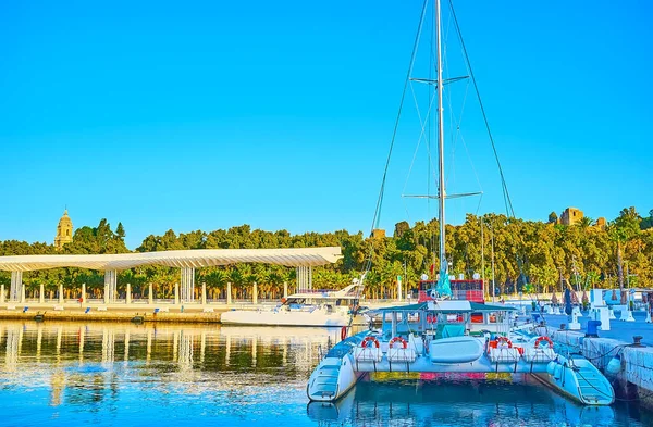 View Moored Catamaran Palm Grove Surprises Promenade Canopy Reflected Rippled — Stock Photo, Image