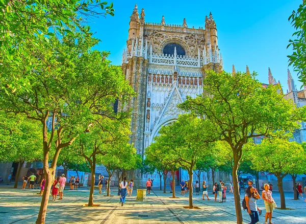 Севіль Spain September 2019 Насолоджуйтесь Красою Саду Оранжевих Дерев Розташованого — стокове фото