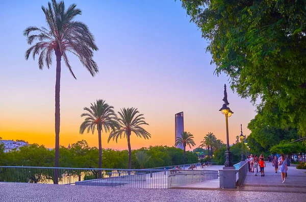 Seville Spanien Oktober 2019 Den Gyllene Timmen Vackra Gröna Flodparken — Stockfoto