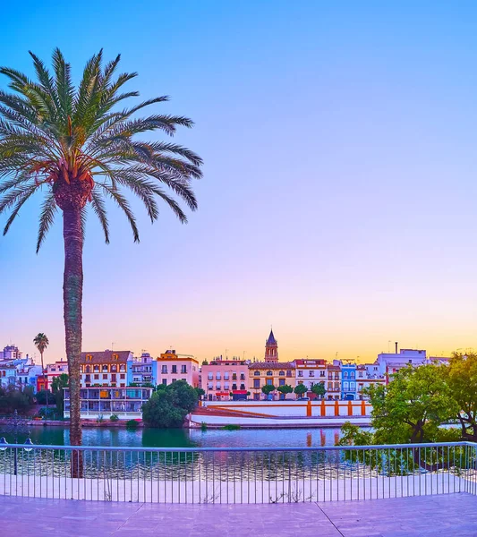 Embankment Guadalquivir River Tall Palm Tree Triana District Bank Sevilha — Fotografia de Stock