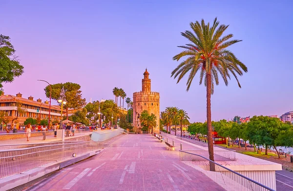 2019年9月29日 Spain Seville 9月29日 在塞维利亚的瓜达尔基维尔河岸 黄昏时分 棕榈树和中世纪的Torre Del Oro 笼罩着河岸 — 图库照片