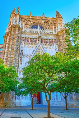 İspanya 'nın Seville Katedrali' nin Orange Trees Court of Seville Katedrali 'nin yemyeşil ağaçlarının arkasındaki resimsel Gotik Hamile Kapısı (Puerta de la Concepcion)