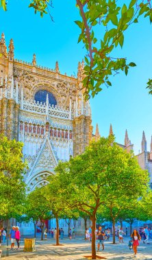 SEVILLE, SPAIN - SEPT 29, 2019: Seville Katedrali 'nin Orange Trees Court' daki yemyeşil ağaçların arasında yürüme zevki
