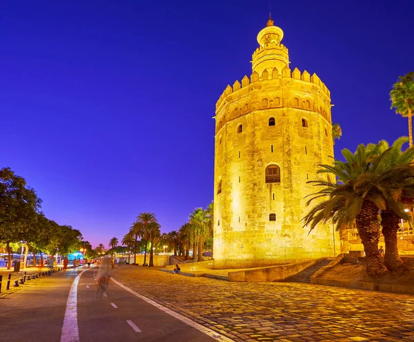 位于西班牙塞维利亚Cristobal Colon街的风景秀丽的绿色棕榈树环绕着中世纪的Torre Del Oro塔 — 图库照片