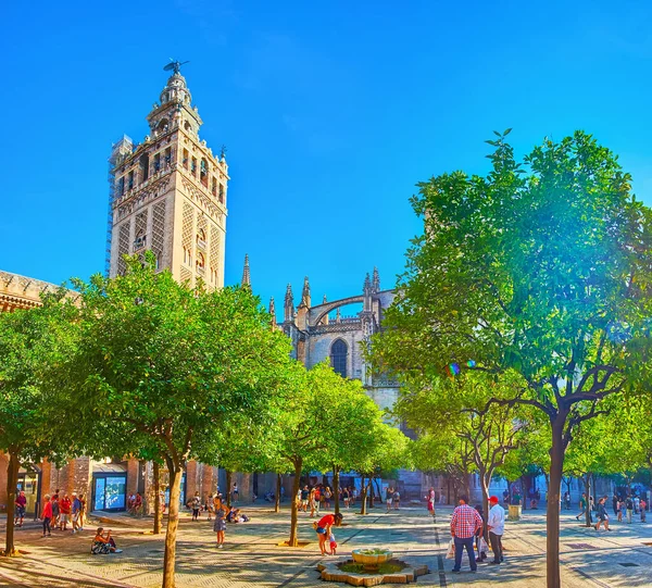 SEVILLE, SPAIN - SEPT 29, 2019: Giralda Kulesi ve Seville Katedrali Turuncu Ağaçlar Mahkemesi ile Panorama