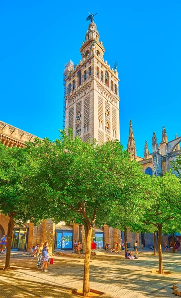 SEVILLE, SPAIN - 29 Eylül 2019 Seville Katedrali 'nin Orange Trees Court' un arkasındaki manzaralı Giralda Kulesi