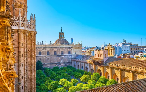 İspanya 'nın Seville Katedrali' nin Giralda Kulesi 'nin balkonundan Orange Tree Garden (Patio de los Naranjos) manzarası