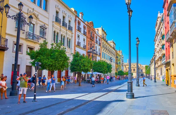 SEVILLE, SPAIN - 2 Ekim 2019: Anayasa Bulvarı 'ndaki tarihi konutlar boyunca uzanan yeşil portakal ağaçları, 2 Ekim' de Seville 'de