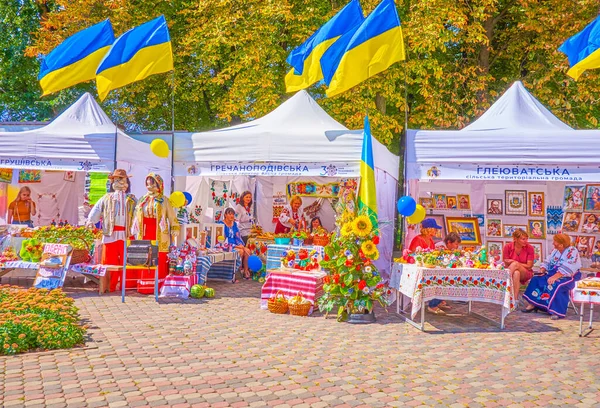 Dnipro Ukraine 2021年8月24日 德涅斯特河畔德涅斯特河畔的工匠摊位 — 图库照片