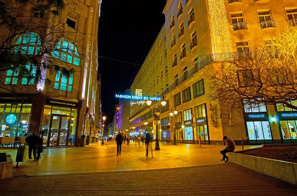 BUDAPEST, HUNGARY - 20 Şubat 2022: Budapeşte 'de 20 Şubat' ta Deak Ferenc caddesinde bulunan Budapeşte caddesi yaya geçidi