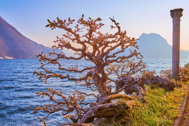 Lugano Gölü kıyısındaki ağaç manzaralı Villa Heleneum Parkı, Luhgano, İsviçre
