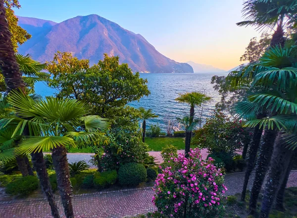 Çiçek açan ağaçları olan Villa Heleneum parkı, Lugano, İsviçre