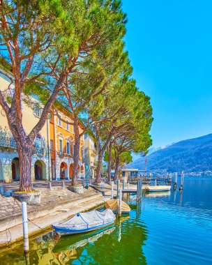 Uzun yeşil çam ağaçları İsviçre 'nin Morcote kentinin renkli evlerinin önünde Lugano Gölü seti boyunca büyürler.