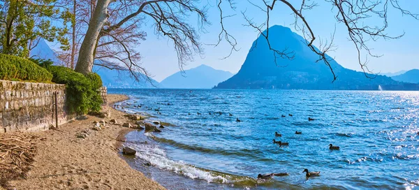 Panorama Sandy Shore Lugano Lake Parco Ciani Lugano Switzerland — Stock Photo, Image