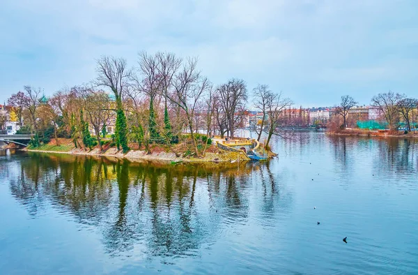 Landscape Small Slavonic Island Covered Park Reflecting Waters Vltava River — Foto Stock